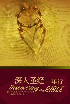 深入圣经一年行(简)