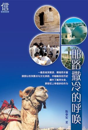 耶路撒冷的呼唤(简)